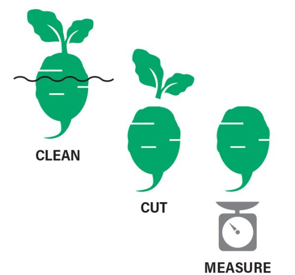 Illustration showing fodder been in the stages of being cleaned, cut and weighed